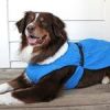 Alpine Tuf Terrain Dog Coat - Mountain Lake