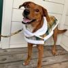 Sherpa-Lined Dog Harness Coat - Yellow Plaid