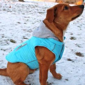 Weekender Dog Sweatshirt Hoodie - Light Blue (DoggieDesign Size: X-Small)